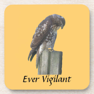 Dessous-de-verre Coaster set - Falcon - Ever Vigilant