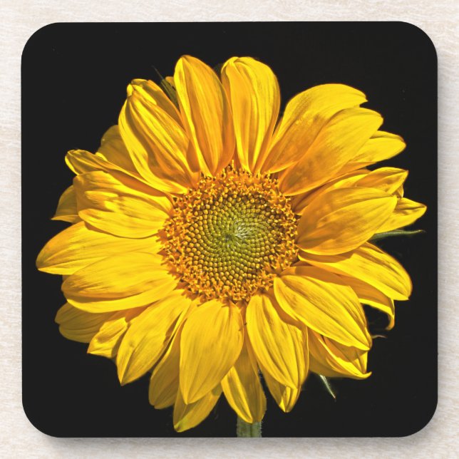 Dessous-de-verre Coastère de tournesol (Devant)