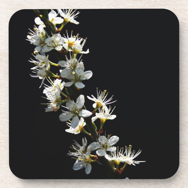 Dessous-de-verre Coastère des fleurs d'épinette (Devant)