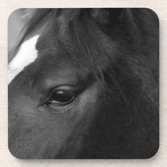 Dessous-de-verre Coastère du cheval (Devant)
