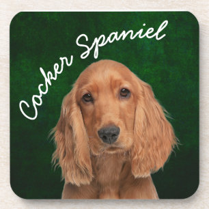 Dessous-de-verre Cocker Spaniel