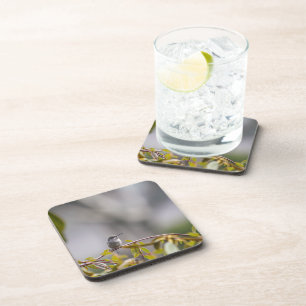 Dessous-de-verre Colibri 3346