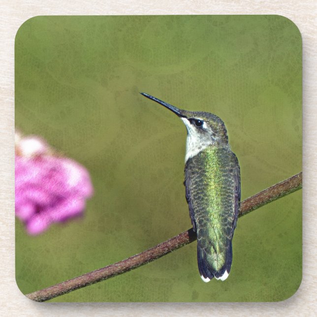Dessous-de-verre Colibri et Zinnia (Devant)