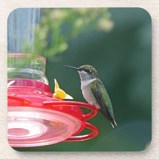 Dessous-de-verre Colibri perché (Devant)