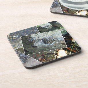 Dessous-de-verre Collage de tortue