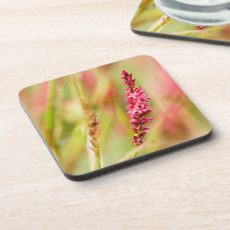 Dessous-de-verre coloris