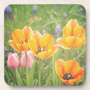 Dessous-de-verre Comme un beau tableau de la vie morte