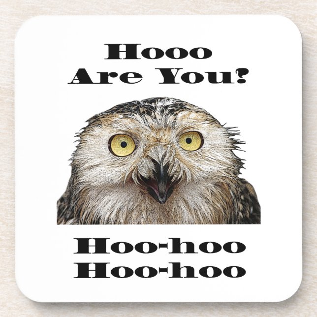 Dessous-de-verre Comment Es-Tu ? Owl Qui Êtes-Vous ? (Devant)