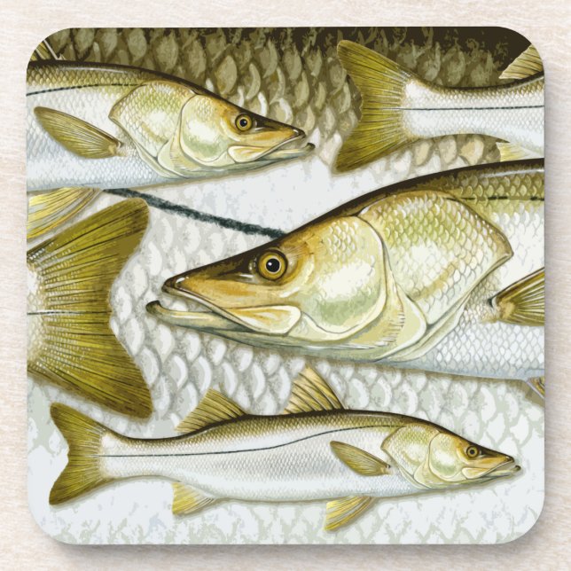 Dessous de verre communs de Snook (Devant)