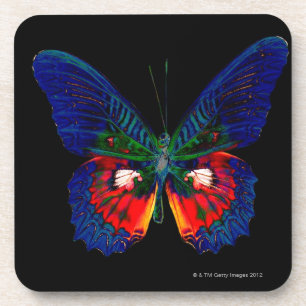 Dessous-de-verre Conception colorée de papillon contre le contexte
