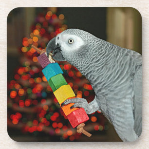 Dessous-de-verre Congo African Grey Parrot Joyeux sapin de Noël