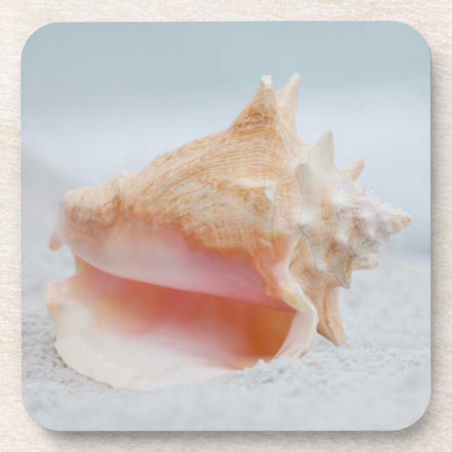 Dessous-de-verre Conque Shell (Devant)