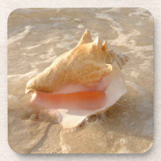 Dessous-de-verre Conque Shell en sable sur la plage tropicale (Devant)