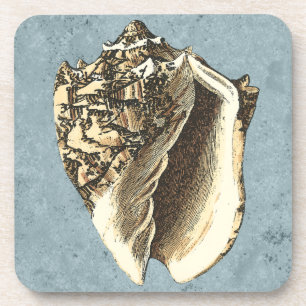 Dessous-de-verre Coque conique en pierre