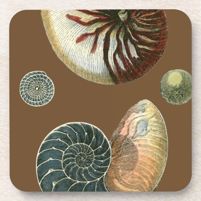 Dessous-de-verre Coque de cacao (Devant)