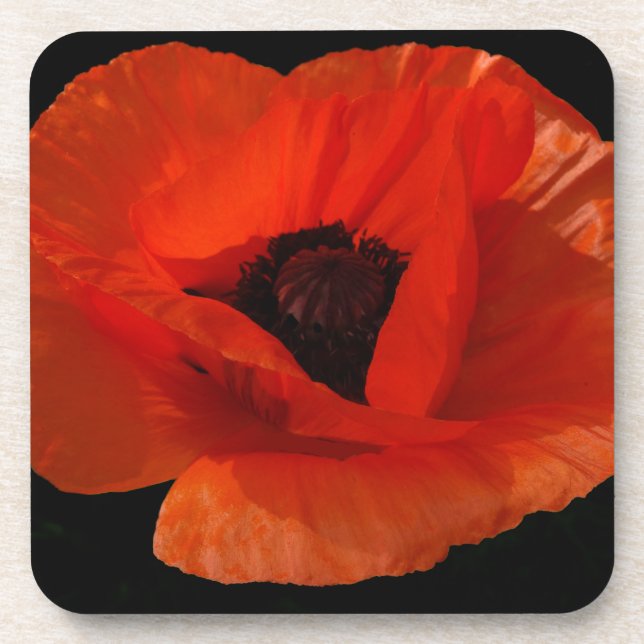 Dessous-de-verre Coquelicot Macro (Devant)