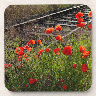 Dessous-de-verre Coquelicot sauvage