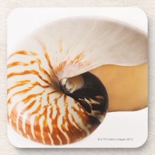 Dessous-de-verre Coquillage de Nautilus (stenomphalus de Nautilus)