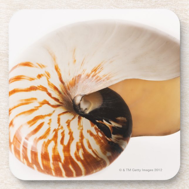Dessous-de-verre Coquillage de Nautilus (stenomphalus de Nautilus) (Devant)