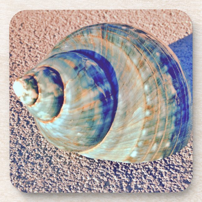 Dessous-de-verre Coquillage de Welk de mer (Devant)