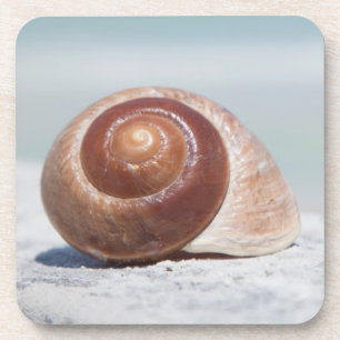 Dessous-de-verre Coquillage   St Petersburg, la Floride