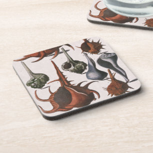 Dessous-de-verre Coquillages, Coquillages de mer vintage, Vie marin