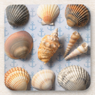 Dessous-de-verre Coquillages sur le contexte d'Ancre