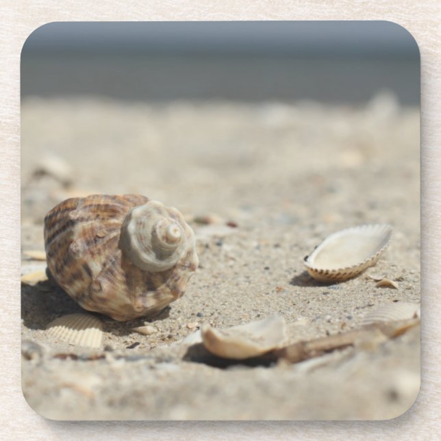 Dessous-de-verre Coquillages sur le sable par la mer (Devant)