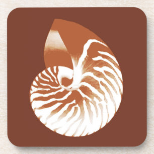 Dessous-de-verre Coquille de Nautilus - cacao brun et blanc