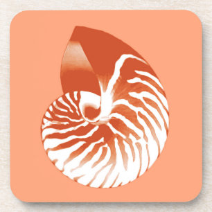 Dessous-de-verre Coquille de Nautilus - terre cuite et blanc