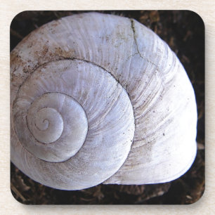 Dessous-de-verre Coquille d'escargot cool