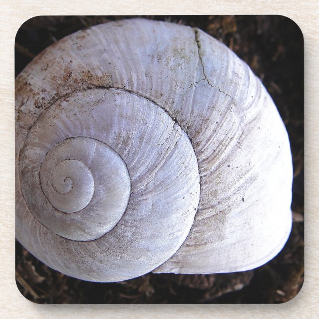 Dessous-de-verre Coquille d'escargot cool (Devant)