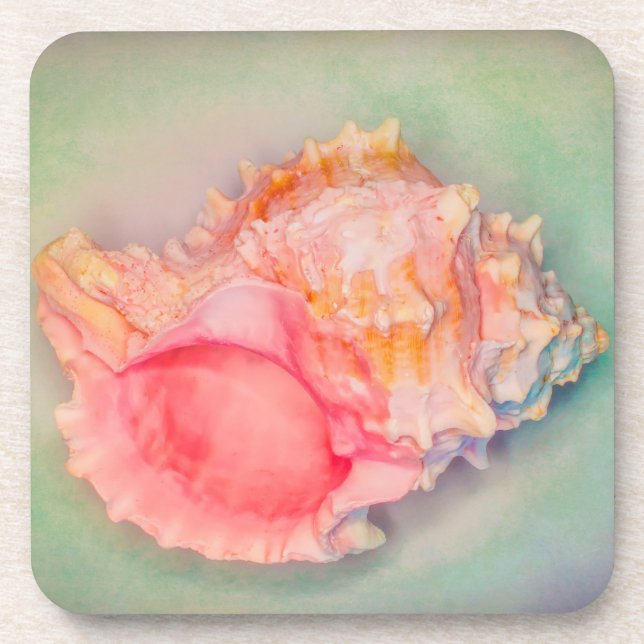 Dessous-de-verre Coquille tropicale (Devant)
