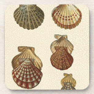 Dessous-de-verre Coquilles antiques craquelées