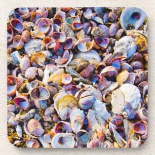 Dessous-de-verre Coquilles de mer par le bord de mer