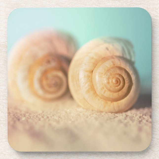 Dessous-de-verre Coquilles de Nautilus sur la plage (Devant)