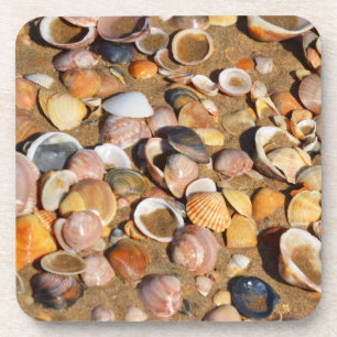Dessous-de-verre Coquilles sur une plage sablonneuse Andalousie,