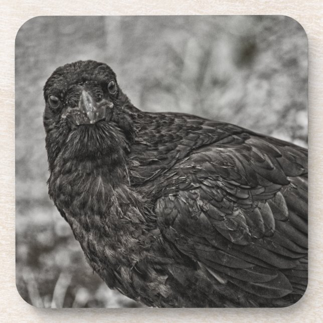 Dessous-de-verre Corbeau P9239 (Devant)