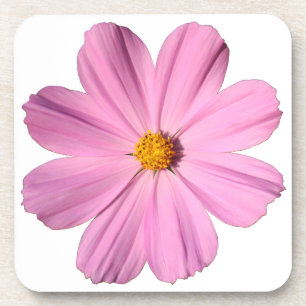 Dessous-de-verre Cosmos roses