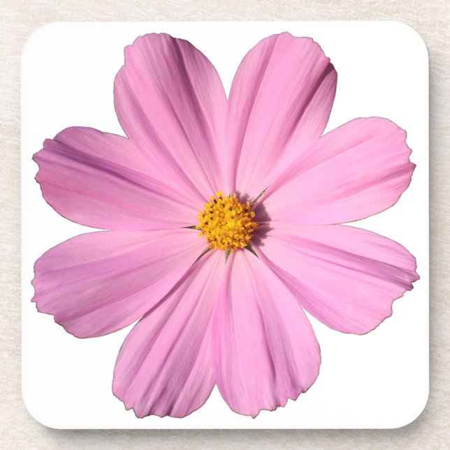 Dessous-de-verre Cosmos roses (Devant)