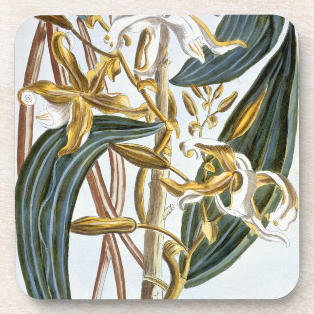 Dessous-de-verre Cosses de vanille, plat 65, de 'collection (Devant)