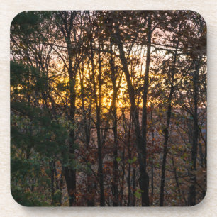 Dessous-de-verre Coucher de soleil boisé SDC