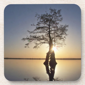 Dessous-de-verre Coucher de soleil derrière un arbre