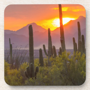 Dessous-de-verre Coucher de soleil sur cactus du désert, Arizona