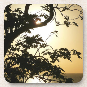 Dessous-de-verre Coucher du soleil à travers les arbres II Photogra