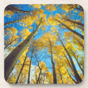 Dessous-de-verre Couleurs d'automne des arbres Trembles 2
