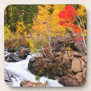 Dessous-de-verre Couleurs d'automne le long de Bishop Creek, CA