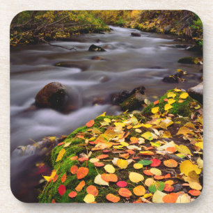 Dessous-de-verre Couleurs d'automne le long du ruisseau McGee