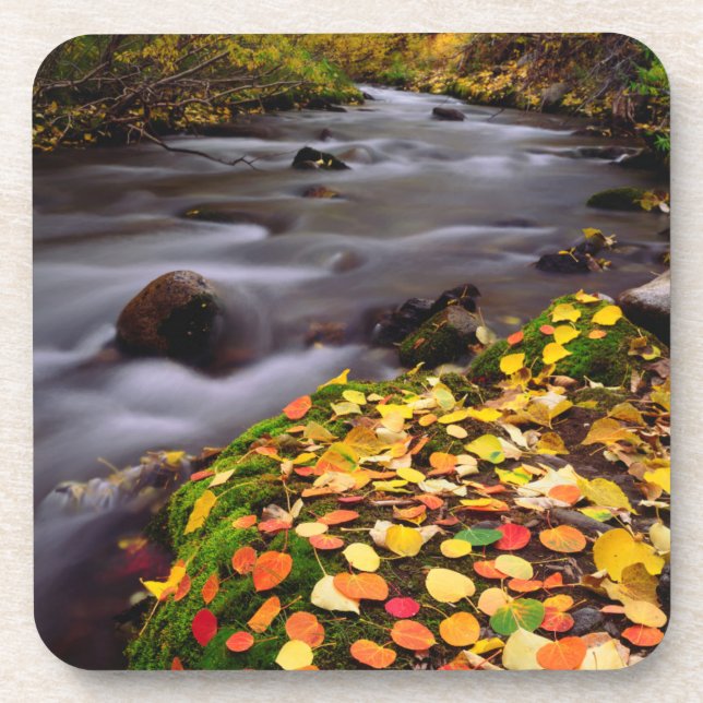 Dessous-de-verre Couleurs d'automne le long du ruisseau McGee (Devant)