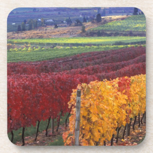 Dessous-de-verre Couleurs d'automne rouges et jaunes intenses sur G